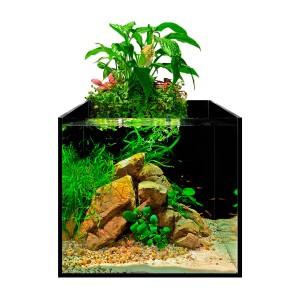 Акваферма 13 л aFARM AQUAPONIC SET повний комплект