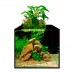 Акваферма 13 л aFARM AQUAPONIC SET повний комплект
