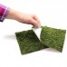Фон з моху 20x20 см 2шт Repti-Zoo Natural Moss Back and Bottom