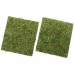 Фон з моху 20x20 см 2шт Repti-Zoo Natural Moss Back and Bottom