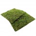 Фон з моху 20x20 см 2шт Repti-Zoo Natural Moss Back and Bottom