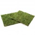 Фон з моху 20x20 см 2шт Repti-Zoo Natural Moss Back and Bottom