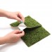 Фон з моху 20x20 см 2шт Repti-Zoo Natural Moss Back and Bottom