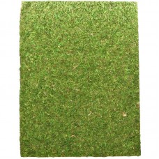 Фон из мха 20x30 см 2шт Repti-Zoo Natural Moss Back and Bottom