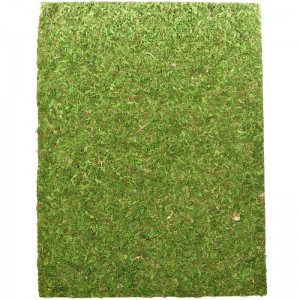 Фон з моху 20x30 см 2шт Repti-Zoo Natural Moss Back and Bottom