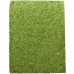 Фон з моху 20x30 см 2шт Repti-Zoo Natural Moss Back and Bottom
