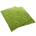 Фон з моху 20x30 см 2шт Repti-Zoo Natural Moss Back and Bottom