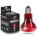 Інфрачервона лампа Terrario Nangola Red Night Light 50W для тераріума