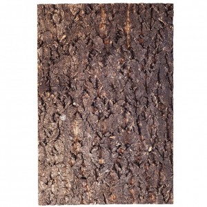 Фон з кори для тераріуму Repti-Zoo Big Tree Background 20х30 см