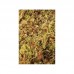 Живий мох Komodo Habitat Moss 1.5л 83003 для тераріума