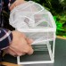 Відсадник для риб Hobby Nido 3.1 16x16x14см для акваріума