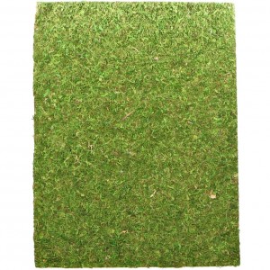 Фон з моху 50x25 см 2шт Repti-Zoo Natural Moss Back & Bottom