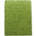 Фон з моху 50x25 см 2шт Repti-Zoo Natural Moss Back & Bottom