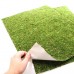 Фон з моху 50x25 см 2шт Repti-Zoo Natural Moss Back & Bottom