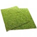 Фон з моху 50x25 см 2шт Repti-Zoo Natural Moss Back & Bottom