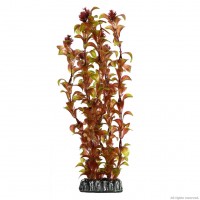 Искусственное растение Hobby Rotala 30 см для аквариума 41518