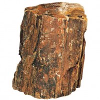 Декоративный природный камень Hobby Petrified Wood L 2.2-4кг (40688)