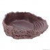 Поїлка та миска для купання Hobby Drinking Bowl XL 27x21x8 см grey для тераріума