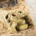 Крокодилячий череп Repti-Zoo Crocodile Skull ERS34S S 11x6x4см для тераріума
