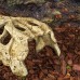 Крокодилячий череп Repti-Zoo Crocodile Skull ERS34S S 11x6x4см для тераріума
