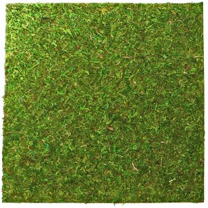 Фон з моху 30x30 см 2шт Repti-Zoo Natural Moss Back and Bottom