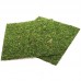 Фон з моху 30x30 см 2шт Repti-Zoo Natural Moss Back and Bottom