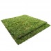 Фон з моху 30x30 см 2шт Repti-Zoo Natural Moss Back and Bottom