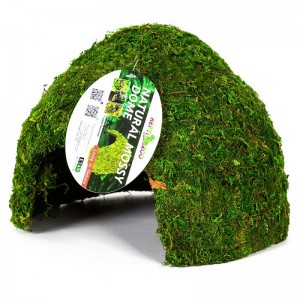 Схованка з моху Repti-Zoo Natural Mossy Dome L 22x17 для тераріума