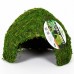 Схованка з моху Repti-Zoo Natural Mossy Dome L 22x17 для тераріума