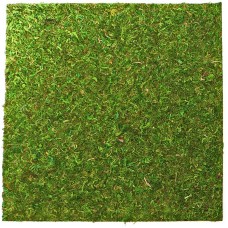Фон из мха 45x45 см 2шт Repti-Zoo Natural Moss Back and Bottom