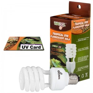 Лампа Е27 Wacool Tropical UVB 5.0 26W + UV card (WC-SCT5026) для тераріума