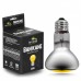 Неодимова лампа Terrario Banikane Neodymium Light 25w для тераріума