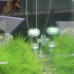 CO2 дифузор EHEIM Diffuser CO2 400L розпилювач СО2 для акваріума до 400 л