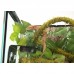 Ліана з натуральним мохом Repti-Zoo RV0220 2см x 2м для тераріума