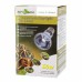 Неодимова лампа Repti-Zoo Neodymium Daylight 50W B63050 для тераріума