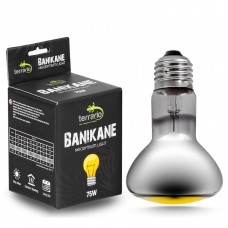 Неодимова лампа Terrario Banikane Neodymium Light 75w для тераріума