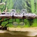 Острів для черепахи 40x22 см Hobby Turtle Island 3 35027 для тераріуму