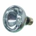 Неодимовая лампа Repti-Zoo Neodymium Daylight 100W B80100 для террариума