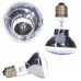 Неодимова лампа Repti-Zoo Neodymium Daylight 75W B63075 для тераріума