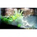 Генератор тумана Repti-Zoo TerraFog FMM01 (RZ-FMM01)