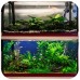 Evolution Aqua Waste Remover корисні бактерії для очищення акваріума