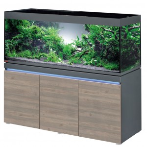 Eheim incpiria 530 graphit/rustic Аквариум 530 л с тумбой (0695117)