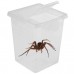Контейнер Terrario Insect Box High 9x9x11 см для насекомых