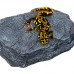 Нагревательный камень Repti-Zoo Dimmer Heat Rock 12W 20x27x3 см для террариумов