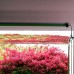 LED светильник Chihiros B30 21W умная лампа для аквариума 30-50 см