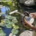 Компресор Kruger Meier OxyPure Breeze 4800 для ставка 2400 л/год