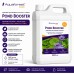 Добриво для водних рослин у ставку Aquaforest Booster POND 1000мл